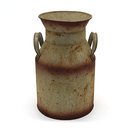 CVHOMEDECO. Bidon à Lait en métal galvanisé, Vieux Vase Rustique pour la décoration de la Maison et du Jardin.