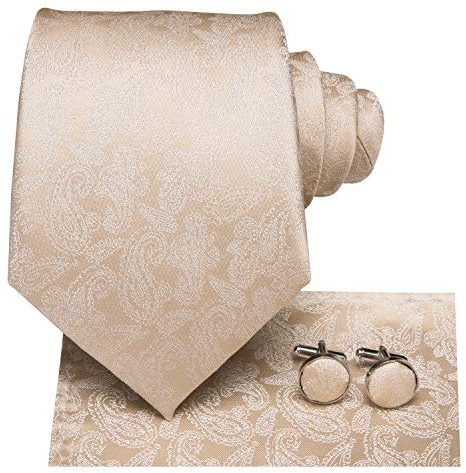 Hi-Tie Herren Krawatte Schwarz Paisley/Plaid/Streifen/Einfarbig Krawatten Set Einstecktuch Manschettenknöpfe Business Formal Hochzeit Meeting Geschenkbox,Champagner-Paisley