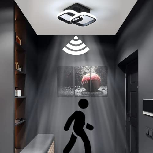 EIDEARAY LED Ceiling Light with Motion Sensor Indoor 22 W Cool White 6000 K Ceiling Light, 24 x 20 x 9 cm Sensor Lamp, Suitable for Hallways, Garages,Basements, Carports, Staircases (Black)
