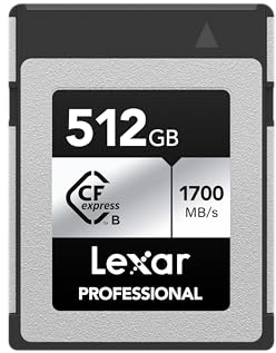 Lexar 512GB Professional Silver SE CFexpress Type B Memory Card, for Photographers, Videographers, Up to 1700/1250 MB/s, 8K Video (LCXEXSE512G-RNENU)