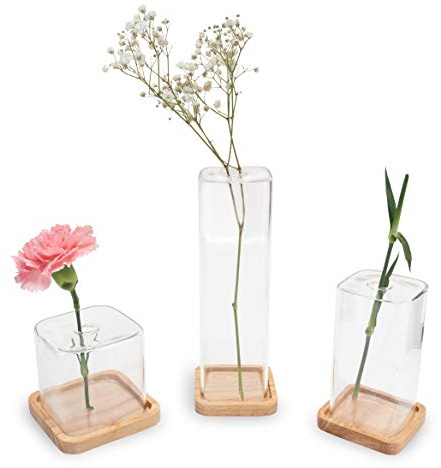 LUUK LIFESTYLE Cube Glass Vases with Wooden Coaster, Scandinavian Design, Transparent, Square, Round, Vintage Style, Vase Set