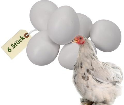 6x Legeeier Kunsteier Nesteier für Hühner Zwerghühner Gipseier für Tauben Bruteier Künstliche Eier Taubeneier
