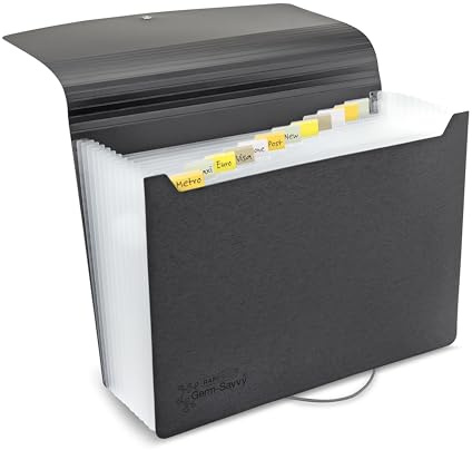 Rapesco 1638 Cartella Portadocumenti Espandibile con 13 Scomparti, Antibatterica, A4, Nero