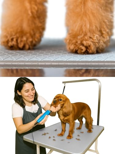 Seagull Tapete Multiusos de Goma Espuma para Mascotas 60x40cm, Suave, Antideslizante, Impermeable, Tapete de Mesa Peluqueria Canina, Tapete de Bañera para Perros y Gatos, Gris Claro
