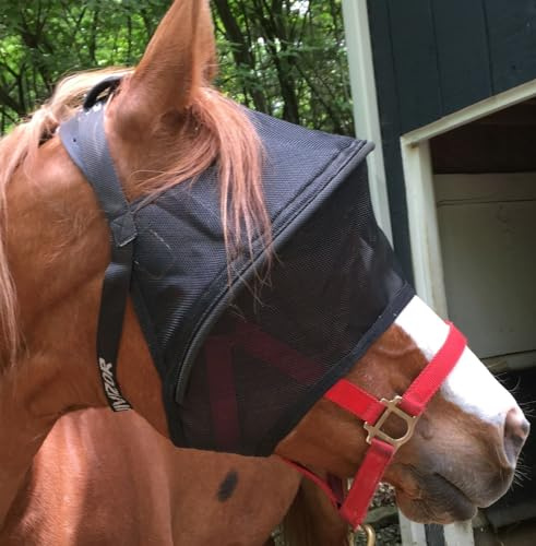 EquiVizor Solar Vizor Horse Fly Mask (Size Full), Superior UV Eye Protection to 99% for Horses with Uveitis, Photosensitivity, Ulcer, Head Shaking