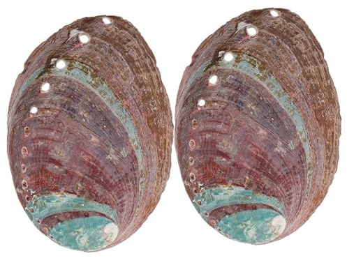VICASKY Support de Parfum Décoratif et Fonctionnel Marron en Coquille D'ormeau 2 Pièces Bol Brûleur d'herbe et Adapté pour Aquarium Décoration D'intérieur
