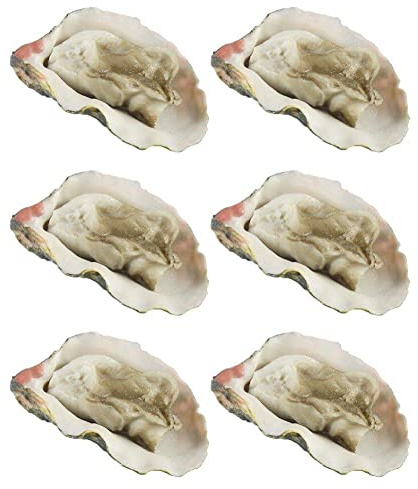 Lipfer 6 Pcs Modelo De Ostras Artificial Simulación De Mariscos Decoración De Mariscos Adornos para Tienda De Fiesta De Cocina De Cocina.