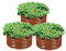 VEVOR Letto da Giardino Rialzato in Metallo 3 Pezzi Fioriera Zincata per Esterni Fondo Aperto, Set di Letto Rialzato Rotondo per Giardinaggio Verdure Fiori Erbe Aromatiche Piante Ф590 x 265 mm