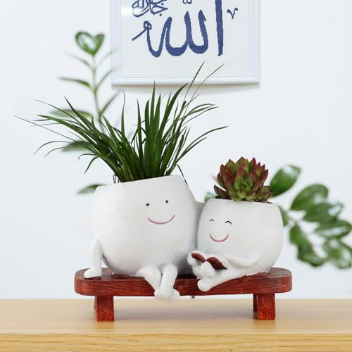 Meltset Fioriera a forma di testa di M per piante da interni, unica e carina, seduta su panchina, a doppia testa, vaso per fiori con faccia sorridente con drenaggio, vaso per piante grasse, ottimo