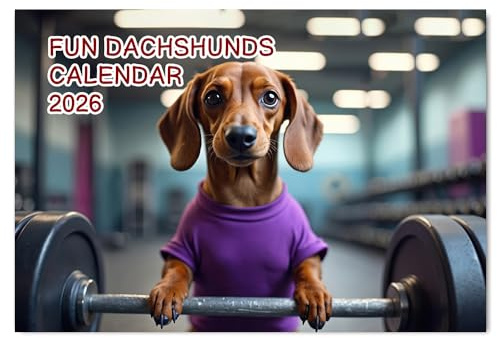 Fun Dachshund Calendar 2026 UK 12 Month to View A4 Wall Calendar 2026 UK Funny Dog Calendar 2026 A3 When Open Papa Prints