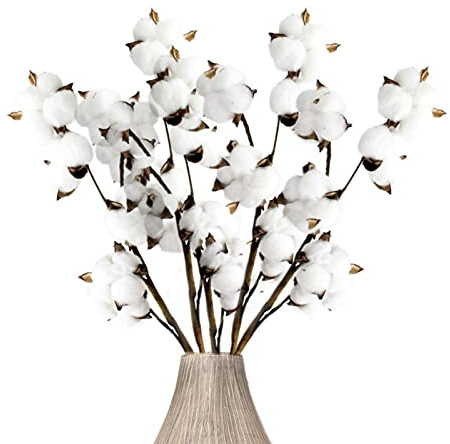 jiuzcare Flores de Algodón Seco 5 Tallos con 30 Bolas de Algodón, Flores Secas Naturales, Ramas Decorativas 45 cm para Jarrón, Centro de Mesa, Decoración del Hogar, Bodas, Fiestas y Arreglos Florales