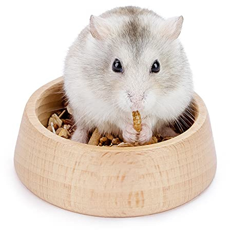 Niteangel Wooden Hamster Feeding Bowl - Small Animal Food Dish for Dwarf Syrian Hamsters Gerbils Mice Degus or Other Similar-Sized Small Pets (Hammy Pattern, for Dwarf)