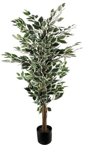 Botanik Artificial Office Plants