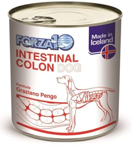 Forza 10 Intestinal Colon feucht, 390 g