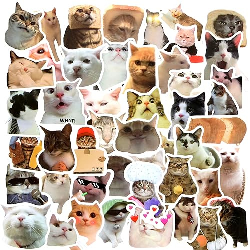 TIESOME Autocollants Drôles de Chat, 50 Pcs Autocollants Chatons Kawaii Imperméables pour Bouteilles d'Eau, Décalcomanies Esthétiques en Vinyle pour les Amoureux de Chats, Scrapbook, Ordinateur