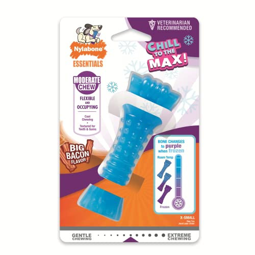 Nylabone Moderate Chill & Dental Dog Chew Toy, Freezable, Bacon Flavour, Extra Small, for Dogs up to 7kg