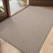 DEXI Schmutzfangmatte Innen 92 x 152 cm, rutschfest Fußmatte, absorbierend Fussmatte, waschbar Türmatte für Hund, Eingang, Haustür & Flur, Beige