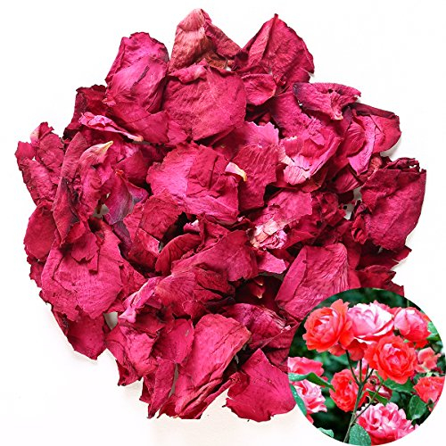 TooGet TooGet Dried Natural Echte Rote Rosenblätter Trockenblumen Großhandel Am Besten für Hochzeitsdekoration, Bad, Körperwäsche, Fußwäsche, Tee, Backen, Potpourri, Basteln - 60g