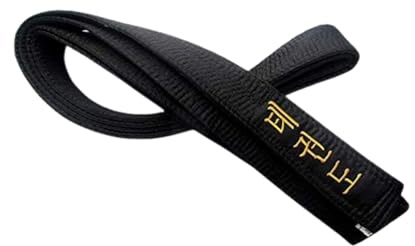 Ceinture noire satinée TAEKWONDO CEINTURE TKD brodée 300 cm pour homme/femme ceinture noire Shihan, Noir , 300cm