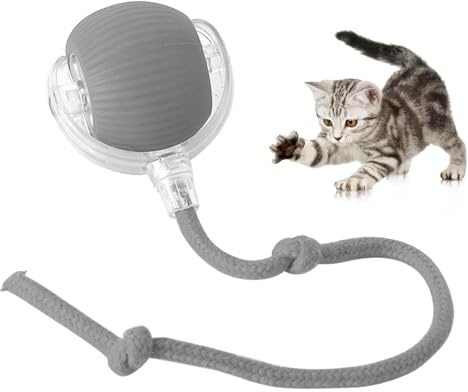 TTPOLONG Jouet Interactif pour, Balle Interactive Chat, Trois Modes réglables avec Fonction de réveil pour Chien Chat (Gris)