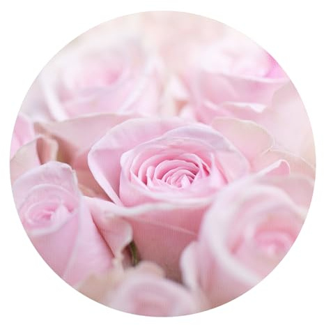 DEQORI Carta da parati rotonda autoadesiva Ø 80 cm | motivo delicati petali di rosa | tela tessile – staccabile, decorativa e indeformabile – per soggiorno, ufficio, corridoio o cameretta dei bambini