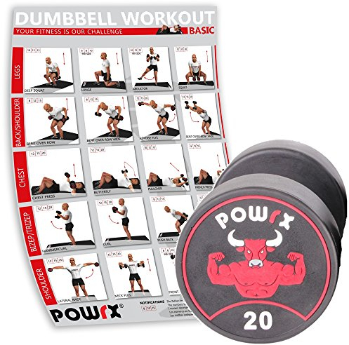 POWRX Professionell Rundhantel Einzeln inkl. Workout I Gummi Kurzhantel Beschichtung GERUCHSNEUTRAL 5-30 kg I Verchromt und gerändelt I Studioqualität (20)