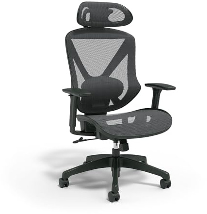 Staples Dexley Ergonomic Task Chair, Mesh, Ergonomic, Lumbar Support, Adjustable Height, Black