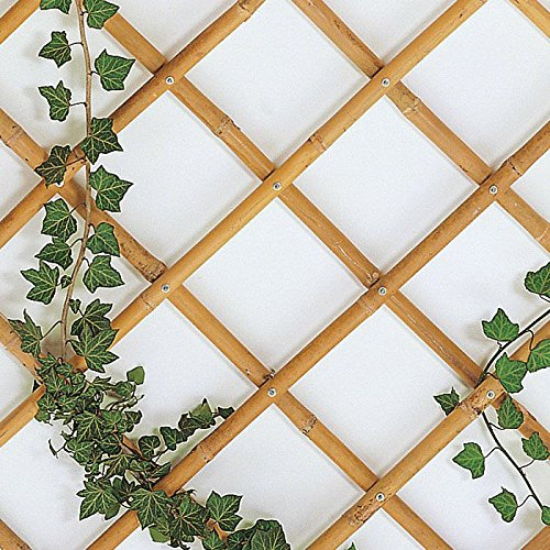 eacommerce Traliccio Grigliato Reticolato in Bamboo Naturale Estensibile per Piante e Fiori rampicanti per Balconi, Terrazze, Giardino (180X240 CM)