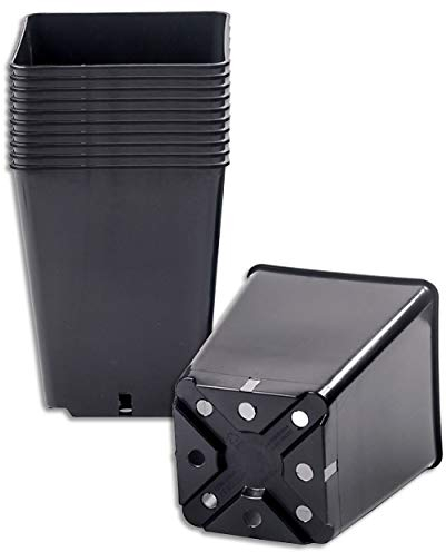 Wohnkult 10 x Anzuchttopf Pflanztopf 3,5 L schwarz 16 x 16 cm x 20 cm Blumentopf Blumenkübel Pflanztöpfe