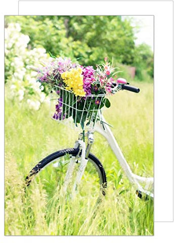 Edition Seidel Premium Glückwunschkarte Blanko ohne Text mit Umschlag. Blankokarte für verschiedene Anlässe Geburtstagskarte Billet Danke Fahrrad (A403 SW023)