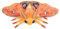 Tiny Heart Polyphoner Hawkmoth-Plüschtier Kinder,Orange Polyphoner Hawkmoth,16in Simulation eines süßen Polyphoner Hawkmoth Plüschtier,weiches Stofftierkissen Weihnachts und Halloween-Dekorationen