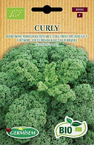 Germisem Bio Graines Chou frisé vert demi-haut CURLY ECBIO3018