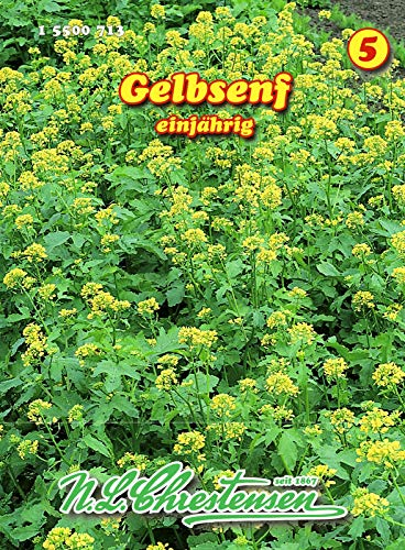 Gelbsenf einjährig N.L.Chrestensen Samen 15500713