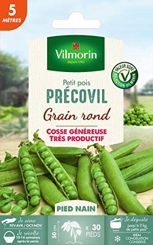 Vilmorin Pois Precovil Création sachet série 5m