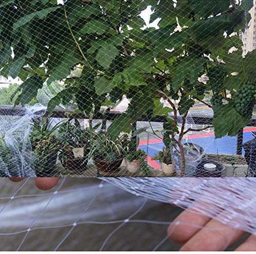 APOE Trädgård anti-fågelnät för fruktbuskar slitstark för att skydda trädgårdsgård frukt och grönsaker från fåglar