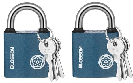 Cadenas Clé Petits,2 PCS Cadenas Petits Cadenas avec Clés Cadenas de Valise Corps de Serrure Épais Étanche Cadenas de Sécurité Cadenas Idéal pour Sacs de Voyage Valise Armoires Casiers