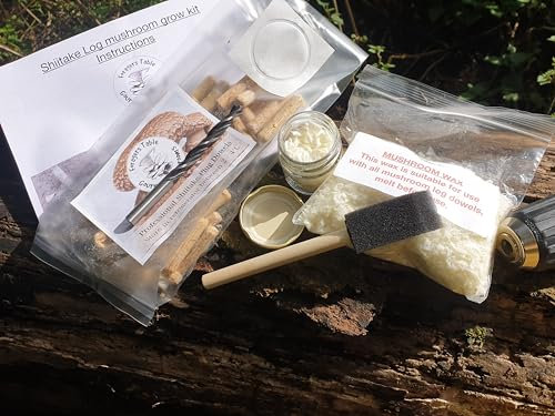 Mushroom Grow Kit Shiitake Log Dowel Kit - for Logs Gift Set (Lentinula edodes) Easy to use, Long Lasting and Ideal Gift for Your Garden, Foragers Table