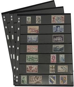 PCCB MINGT 10 hojas internas estándar a 9 foros, doble cara, para álbumes, estampillas, billetes, colecciones, páginas internas para álbumes de monedas y suministros (Negro, 7 Bolsillos)