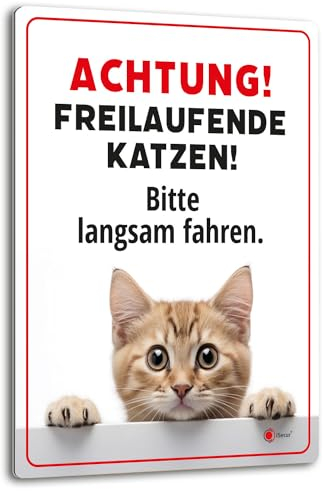 Achtung freilaufende Katzen 30 x 40 cm Hinweis-Schild I Warnschild I Aluverbund I az147