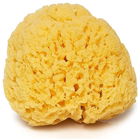 Sea Sponge for Bathing 5 inch-Softly Rough but Not Skin Irritating – Yellow, Natural Bath Sponge-Renewable Resource – Natural Sponge for Body and Shower-Lathers & Washes Really Well