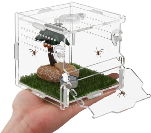 Reptile Terrarium,Tarantula Enclosure,Jumping Spider Enclosure for Tarantula Scorpion Sling Isopods Snail Reptile Invertebrates Accessories（4 X4 X4 ）