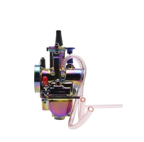 SRQORT Carburadores para Moto Carburador De Motocicleta De Carreras para PWK 21 24 26 28 30 32 34mm con Power Jet para 2 Tiempos 4 Tiempos Dit Pit Bike ATV Quad Carburador Motores(24mm)