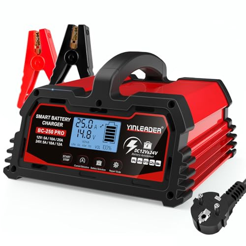 Yinleader Caricabatteria Intelligente 25 A 12 V/24 V 12 A, Caricabatteria da Auto LCD, Mantenitore della Batteria per AGM, Moto