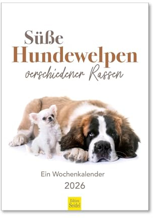 Edition Seidel Premium kalender söta hundvalpar olika raser veckokalender 2026 format DIN A4 väggkalender djurkalender djur hundar