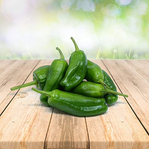 Piment Padron 25 x Graines du Portugal 100% Naturel sans Aide à la Culture Chimique ni Génie Génétique