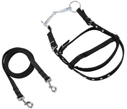 Zunate Rênes de Bride de Cheval en Nylon Réglables |Étrier d'équitation pour Poneys de Moins de 1, de Hauteur d'épaule, Noir S, Rênes Latérales Durables, Aide à l'entraînement (Petit)