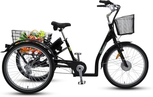SachsenRAD BAFANG Vélo cargo électrique T3A 250 W 36 V, 16 Ah | 100 Nm BAFANG Moteur central avec dérailleur 8 vitesses pour transport enfant Ebike Pedelec, cellule LG noire avec housse de pluie