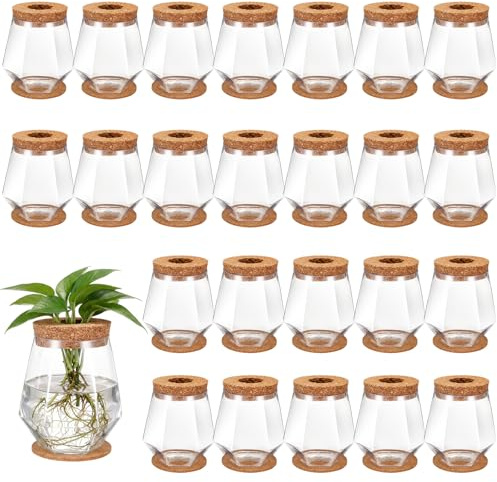 Baderke 24 Packs Plastic Desktop Plant Terrariums Propagation Planter Tabletop Planting Vase with Lid and Cork Plant Coasters for Growing Hydroponic Home Office Table Decoration (Diamond Style)