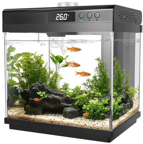 AQQA 14L Aquarium Komplettset,Nano Fischtank Aquarium mit LED-Beleuchtung und Eingebautem Filtersystem,10 Farben Justierbarer Nano Aquarium Tank,Selbstreinigende Tropische Fisch Tank Kit