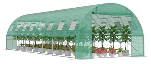 XMTECH Växthus 3 x 8 m (24 m²) – trädgårdsfolieväxthus med 16 fönster, UV-beständig, galvaniserad stålram, myggnät, perfekt för grönsaker, tomater, blommor, tomathus, grönt